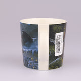 yksin kotona tarra (2)